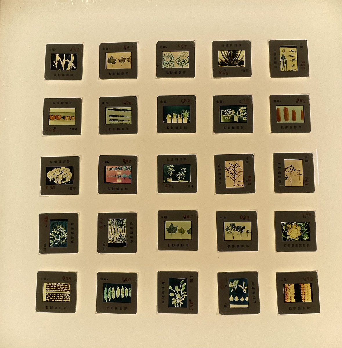 Josseran Floch tweet media