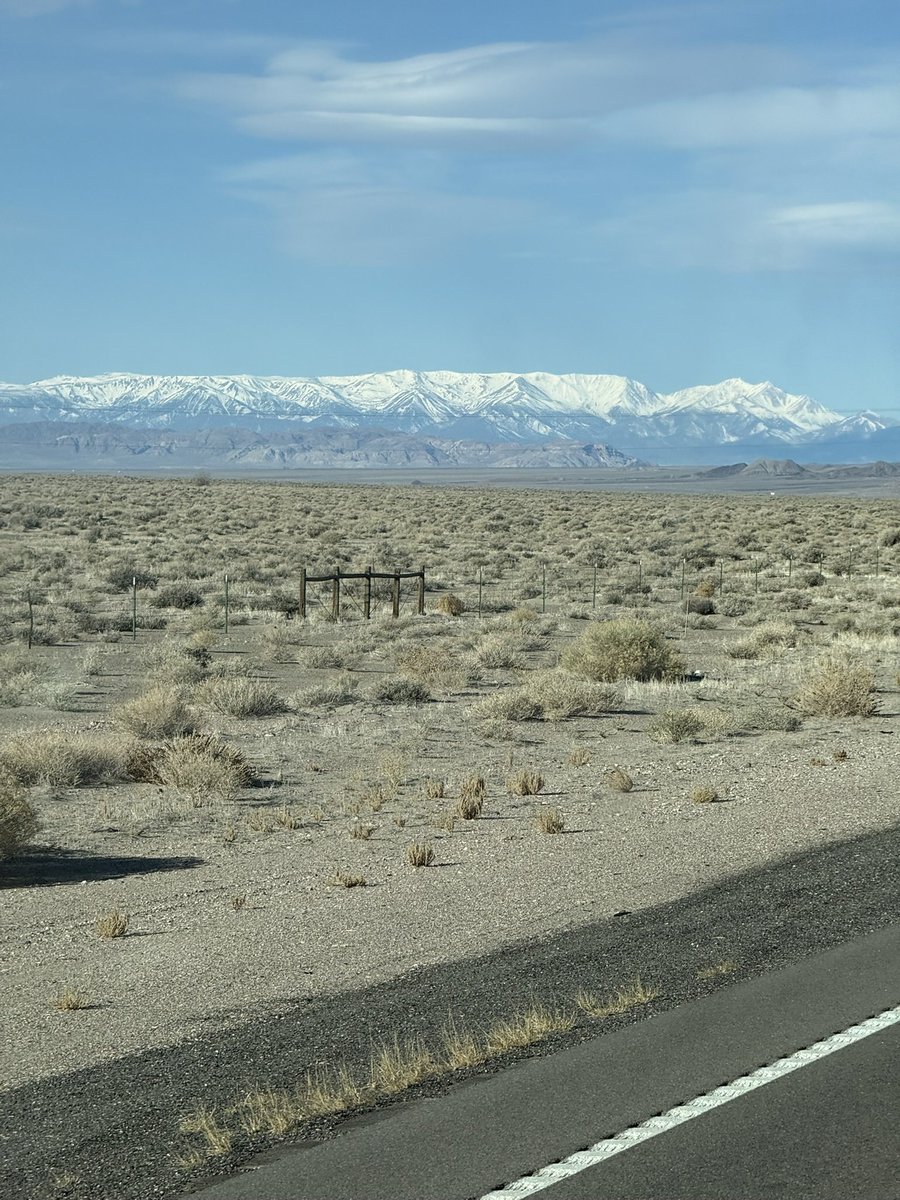 indietrucker tweet media