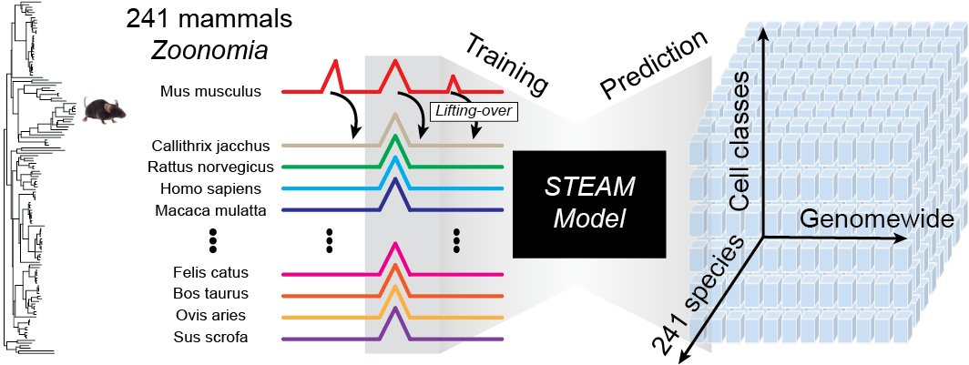 Chengxiang Qiu tweet media
