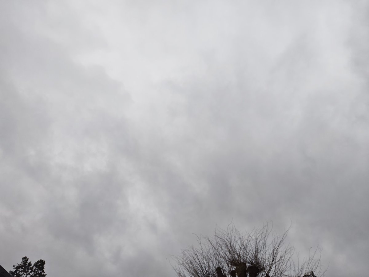 子育て終了キャンプじじぃ tweet media