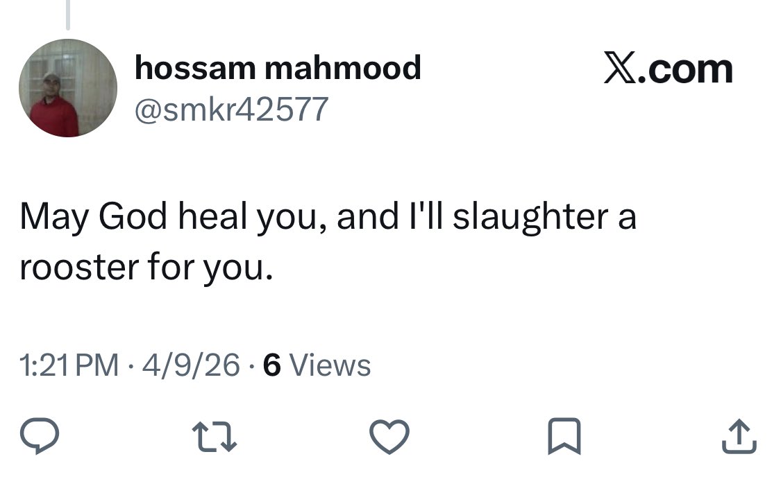 Dammit Bits tweet media