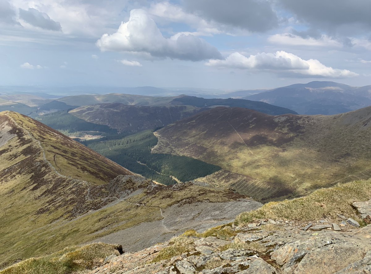 rly cool girl tweet media