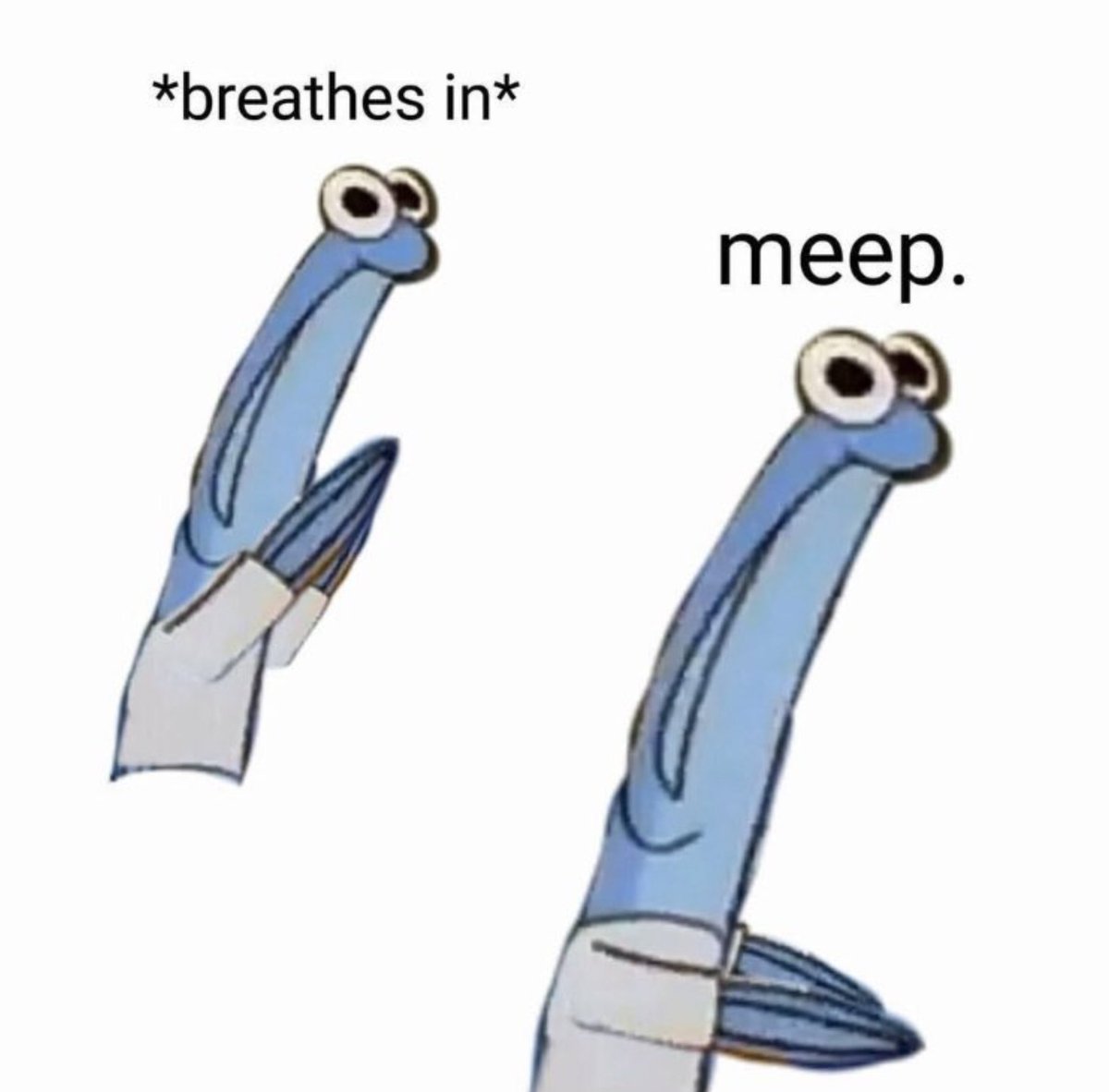 Wormy tweet media