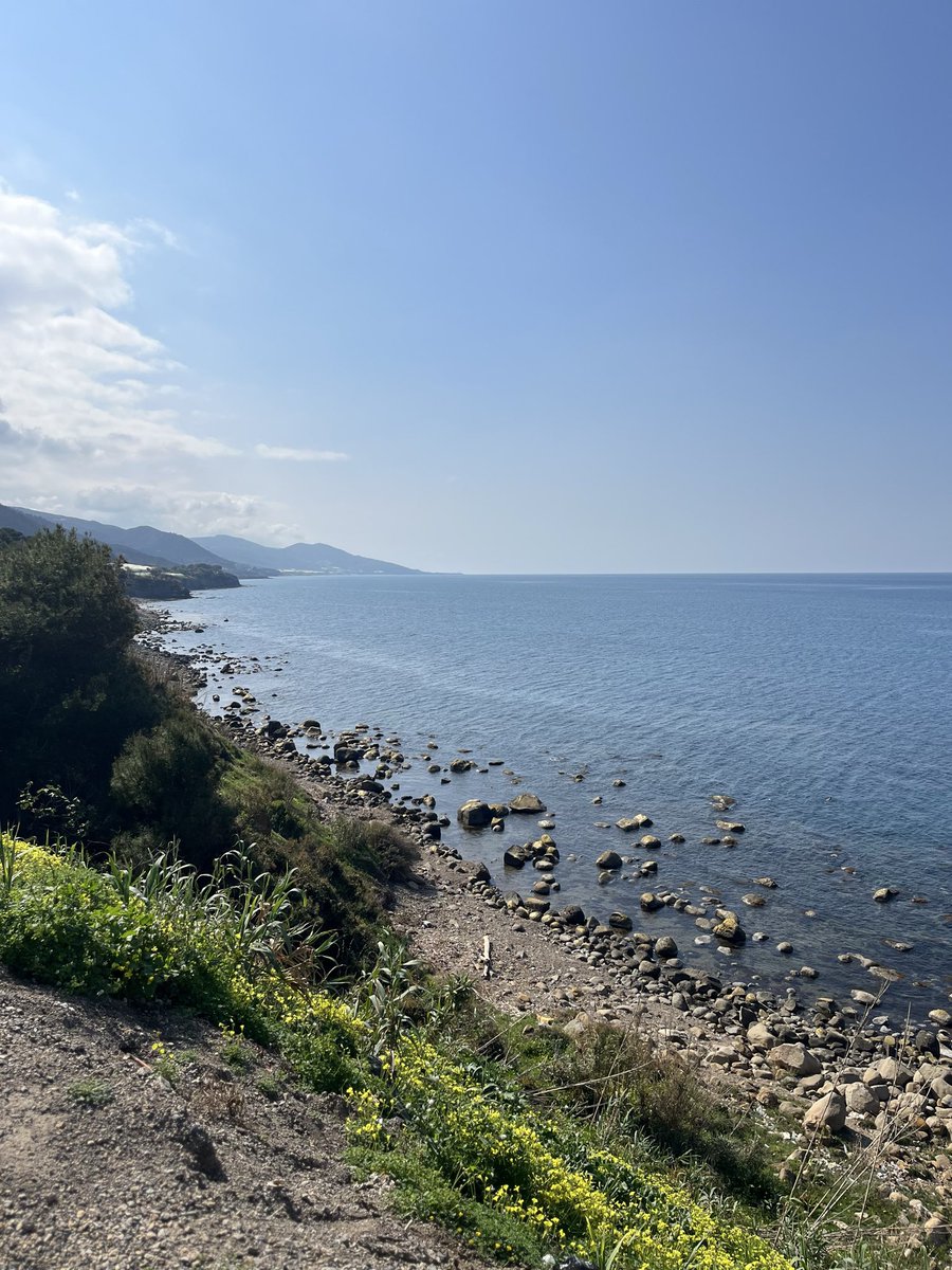 callmestellaaa's tweet photo. Vit 🌊 https://t.co/9pPWpEJAmI