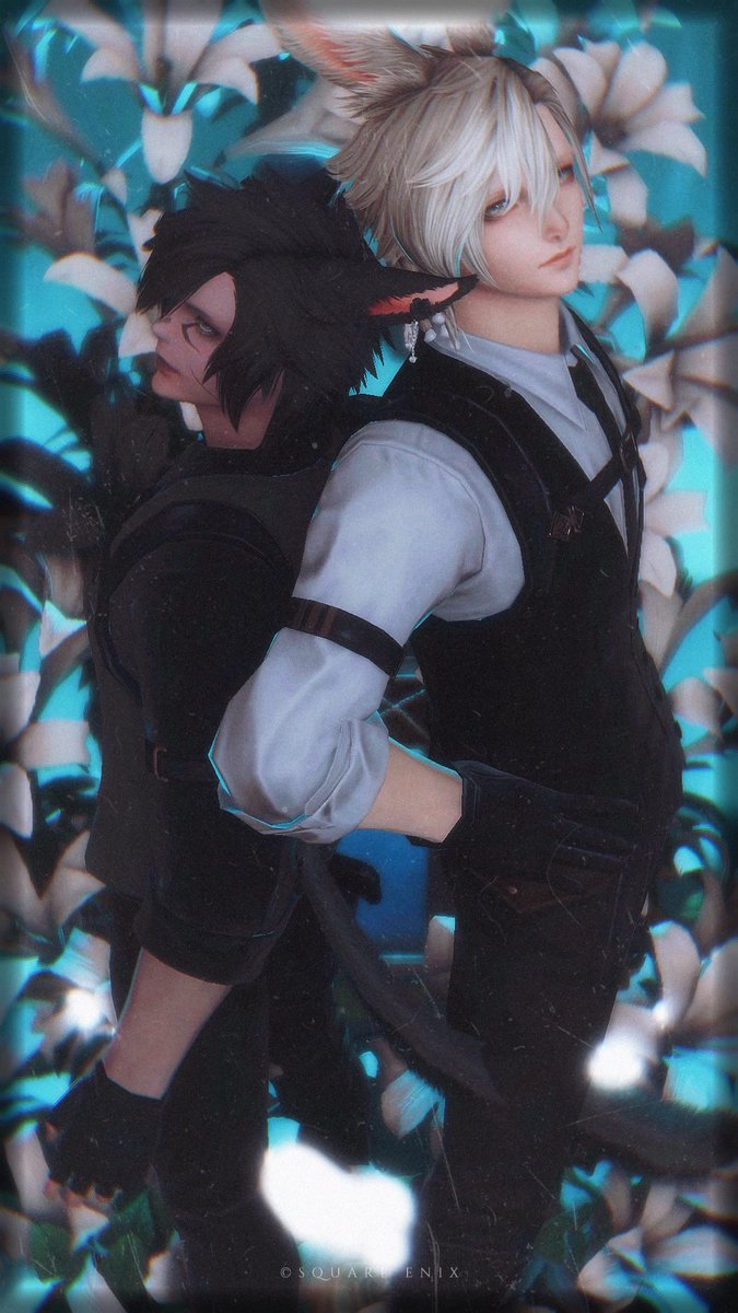 𝙲𝚑𝚎𝚕𝚜𝚎𝚊 tweet media