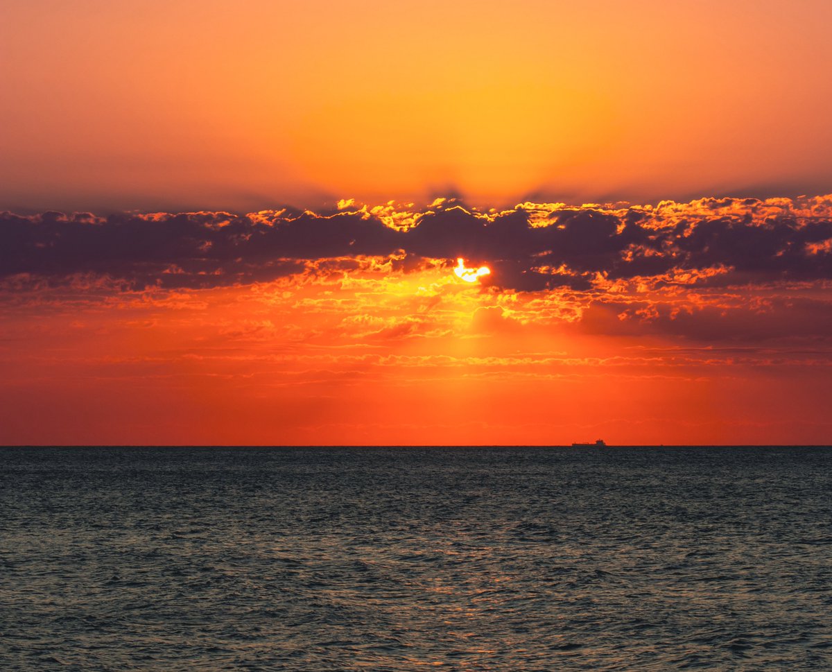 Hakan Semiz 🇦🇱🇹🇷 tweet media