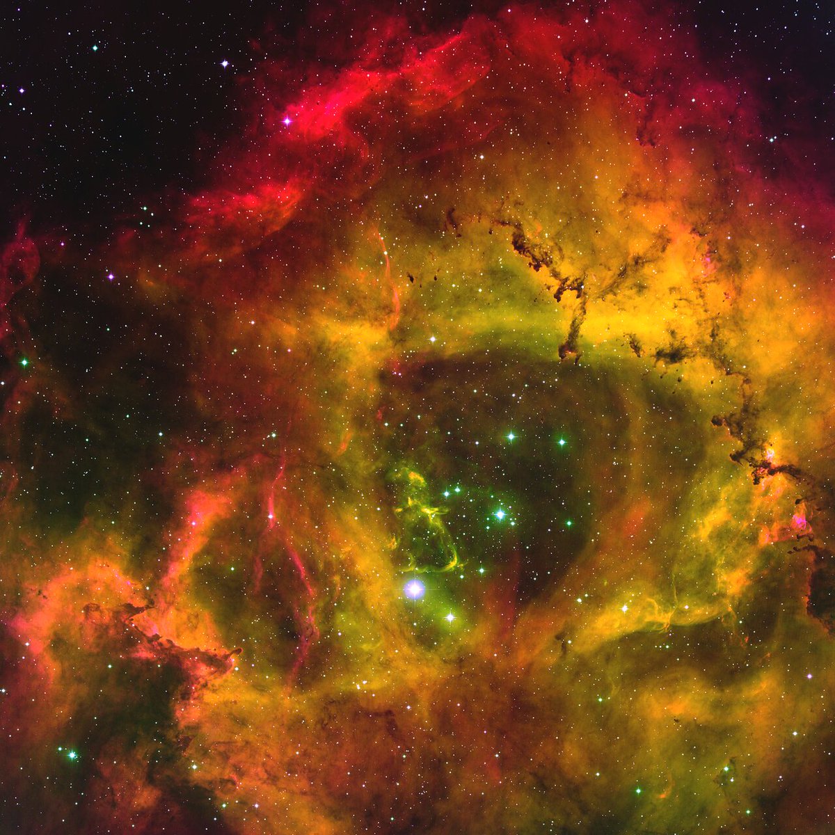 WorldAndScience's tweet image. The Rosette Nebula, a stunning star-forming region, glowing under the radiation of its young, energetic stars. Strong stellar winds from these stars have carved out the nebula’s central cavity.

(Credit: T. A. Rector/University of Alaska Anchorage, WIYN and NOIRLab/NSF/AURA)
