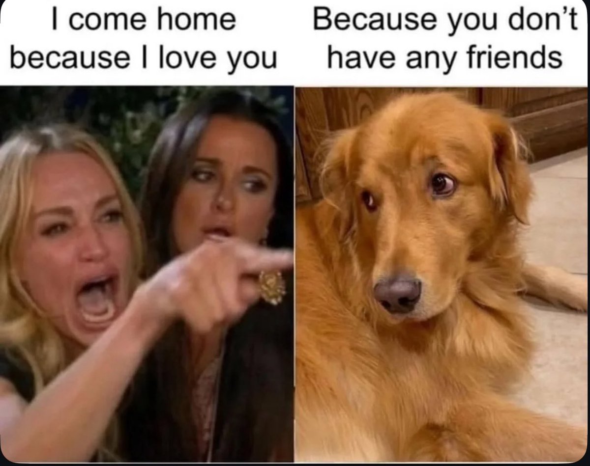 Puppies 🐶 tweet media