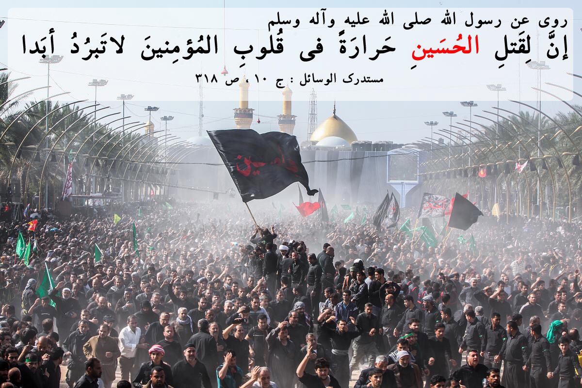 Mohammed محمد tweet media