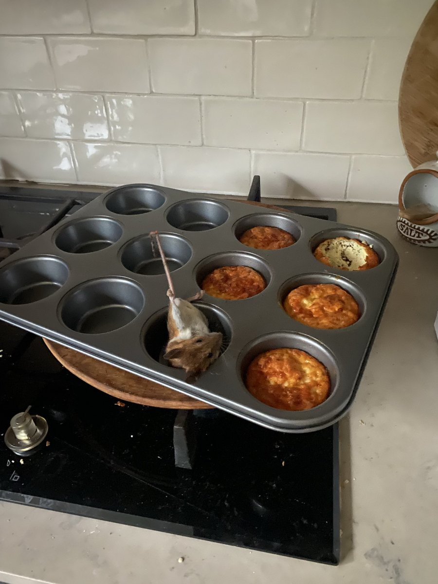 DevelopingH tweet media