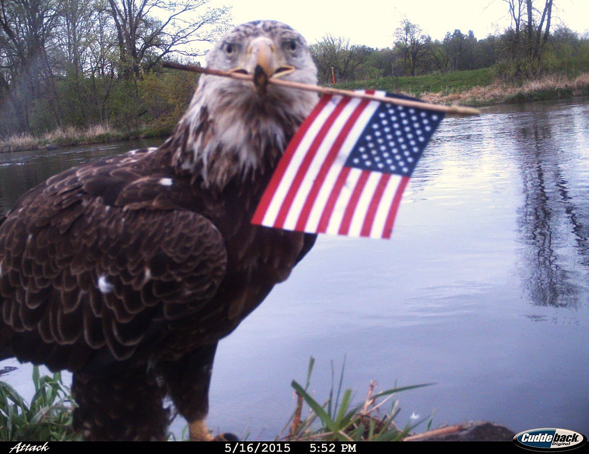 James Kadbury tweet media