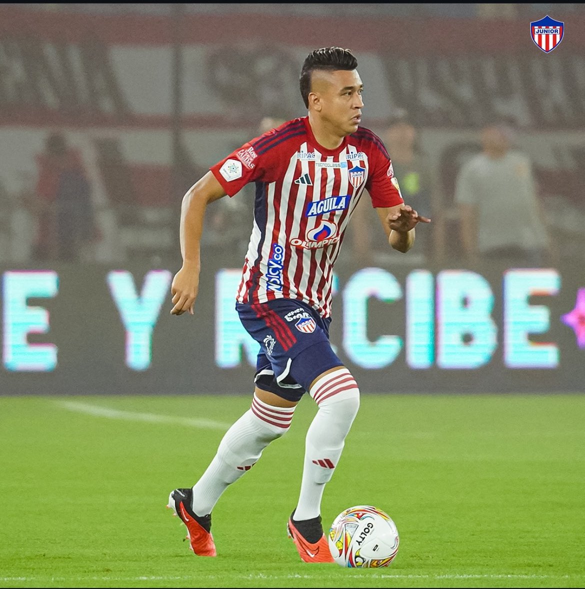 🚫NO MAS CHARA❌ tweet media