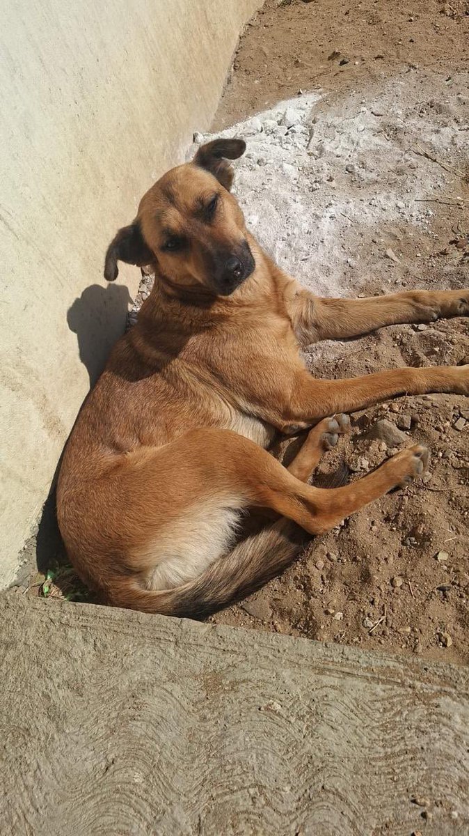 María de los Ángeles tweet media