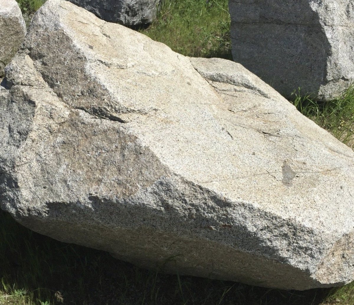 The Real Fröd Brös 🦉 tweet media