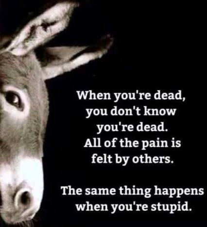 561Hoops's tweet photo. @unusual_whales https://t.co/fUnxj0cA4d