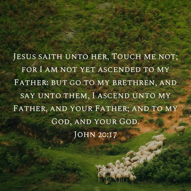 Scott Swanson tweet media