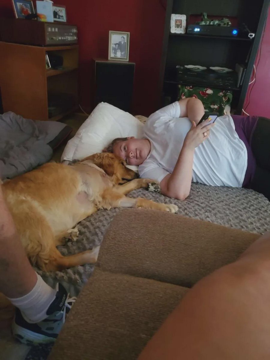 Sunshine Hang tweet media