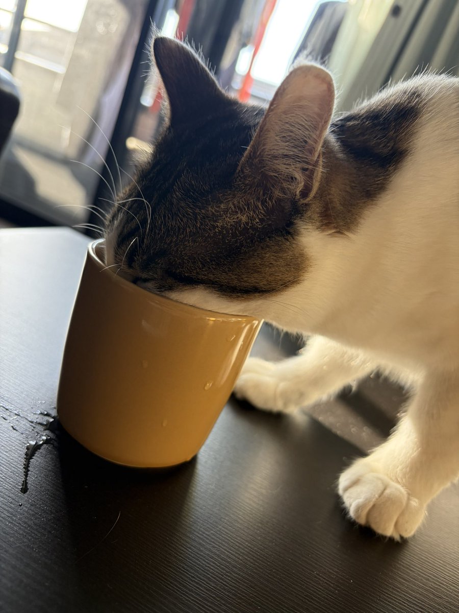 えだちゃん tweet media