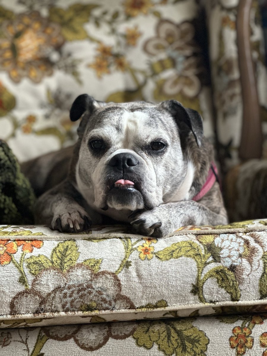 Max 🇲🇽 tweet media