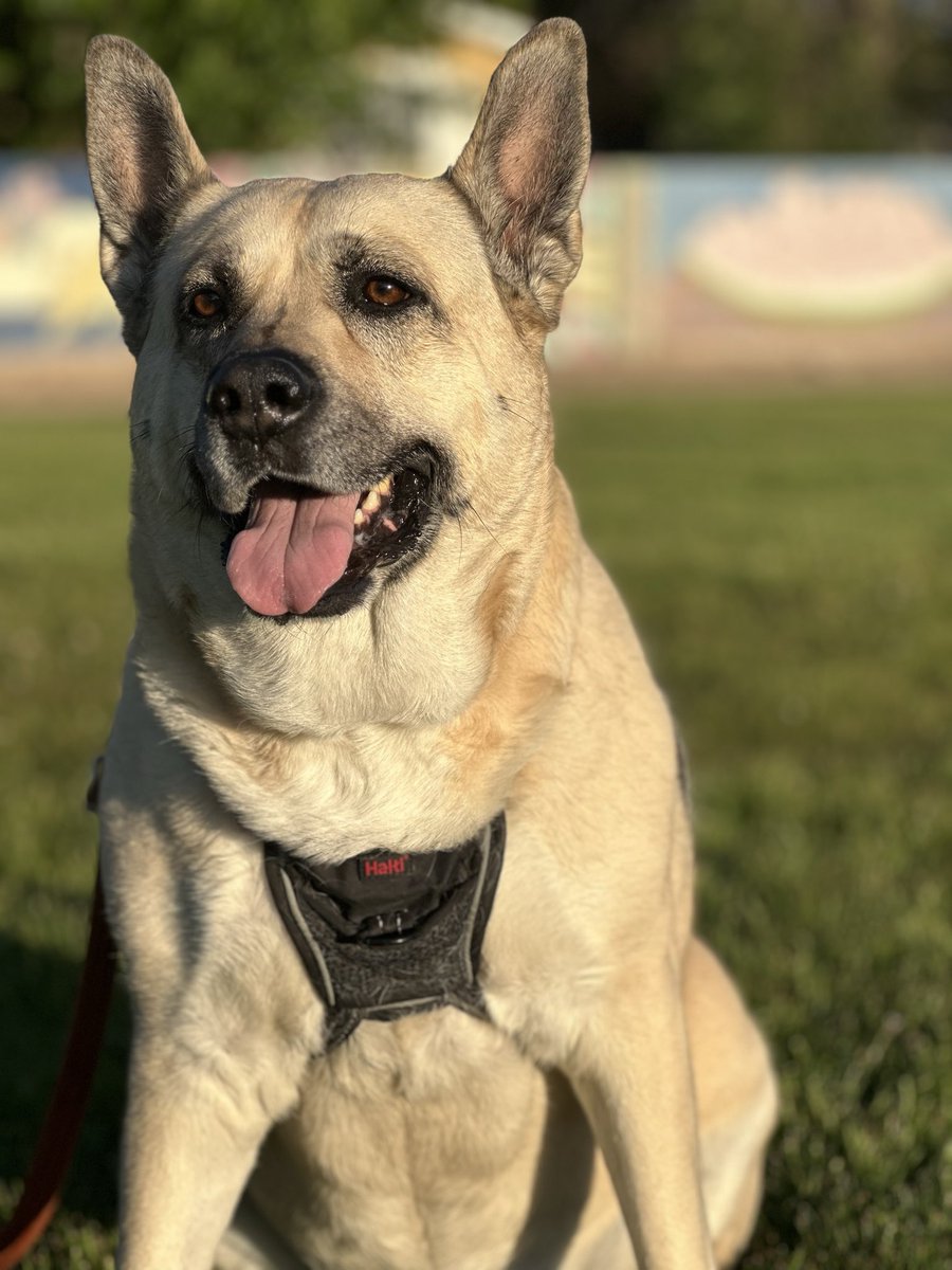 Max 🇲🇽 tweet media