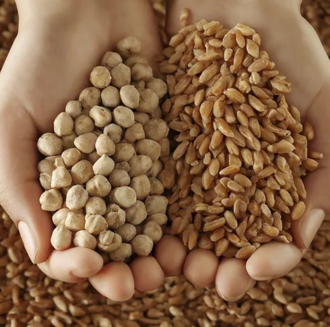 °•|FlannyCartoon|•° tweet media