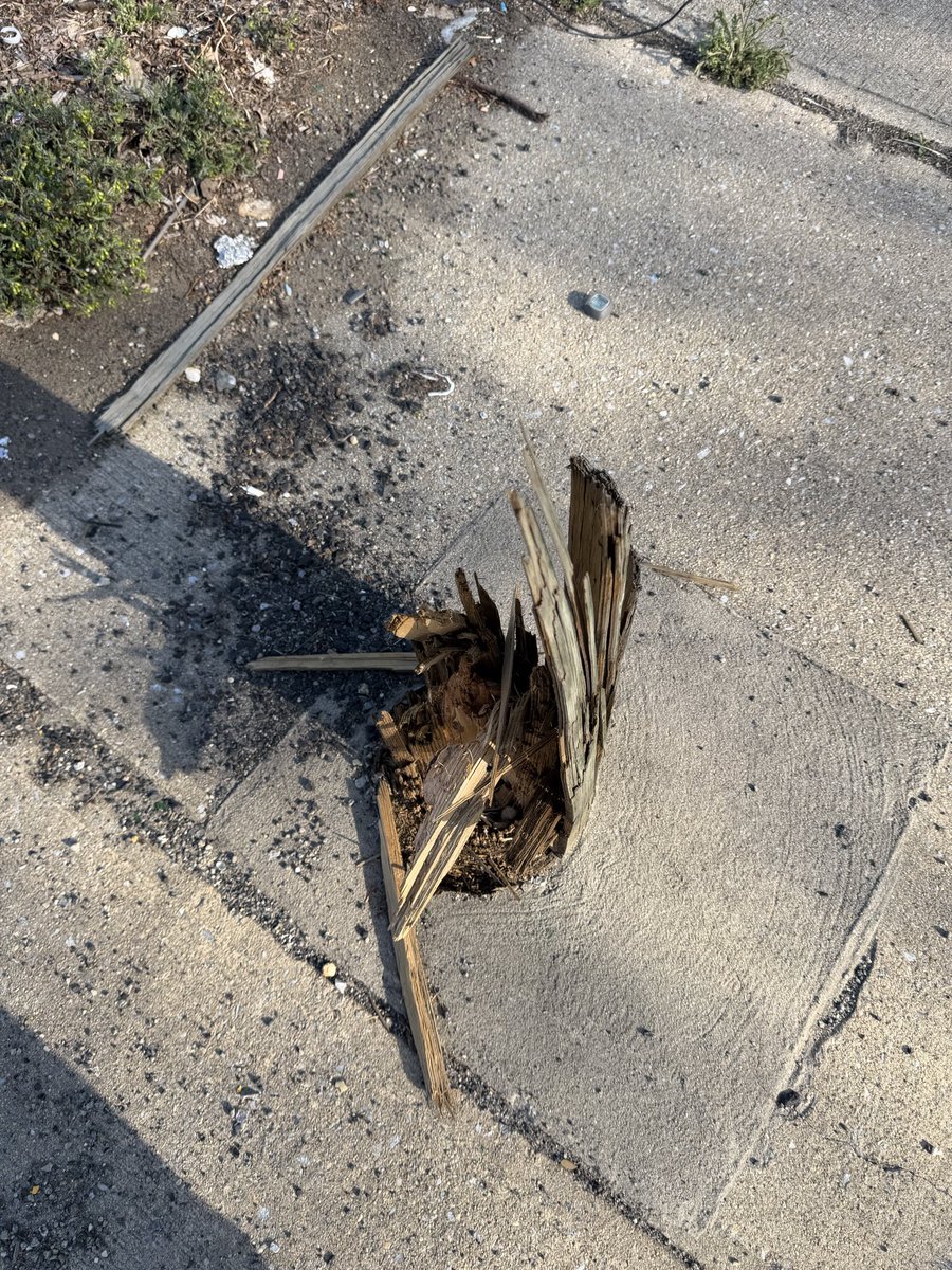 Sharon Brown tweet media