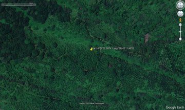 Aníbal Argüello tweet media