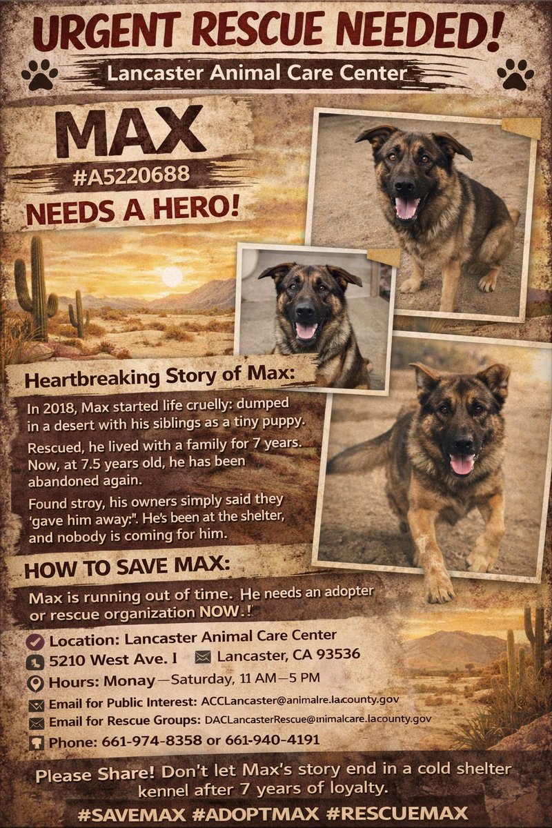 MSC1111 🇳🇱 tweet media