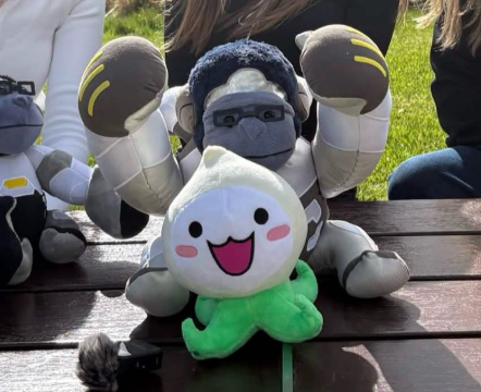 KabooKatoo ~ Social media OWWC Ireland tweet media