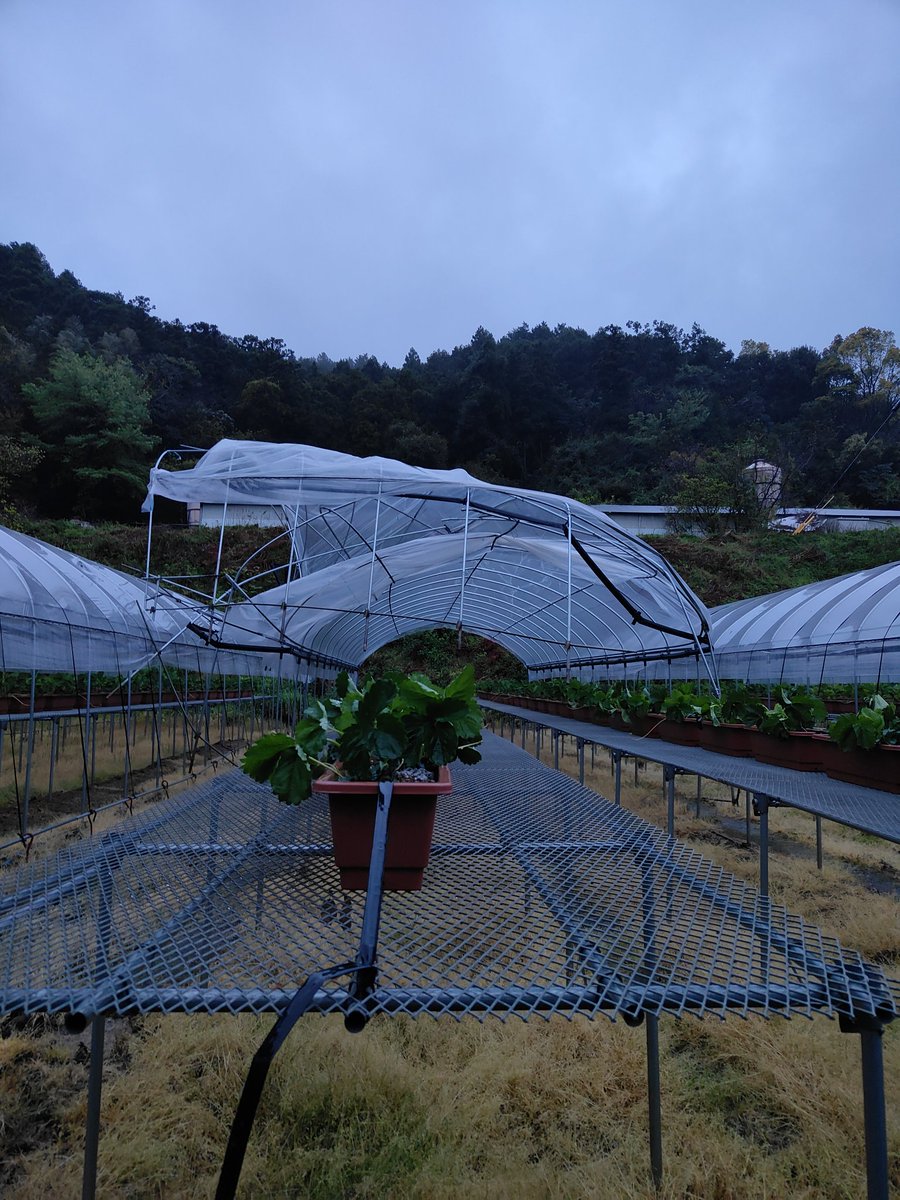 np_cc's tweet photo. やらかしたー https://t.co/5VfyH2x6yS