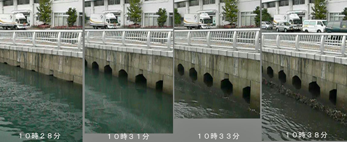 ほしなべ tweet media