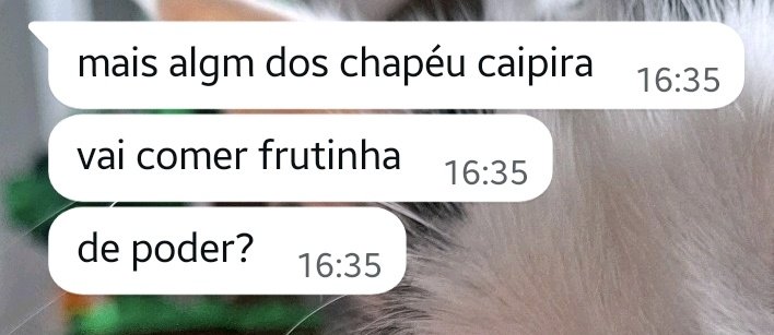 alicia ainsworth tweet media