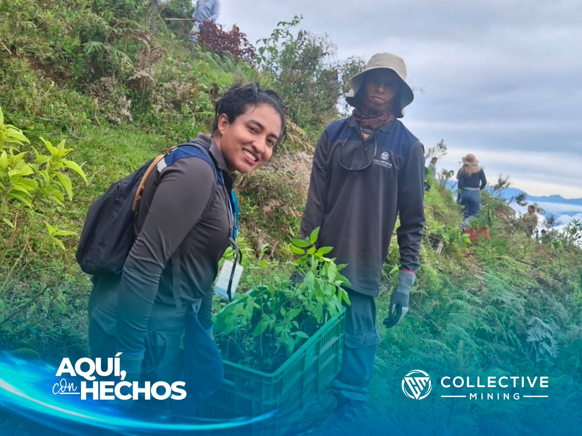 Collective Mining Colombia tweet media