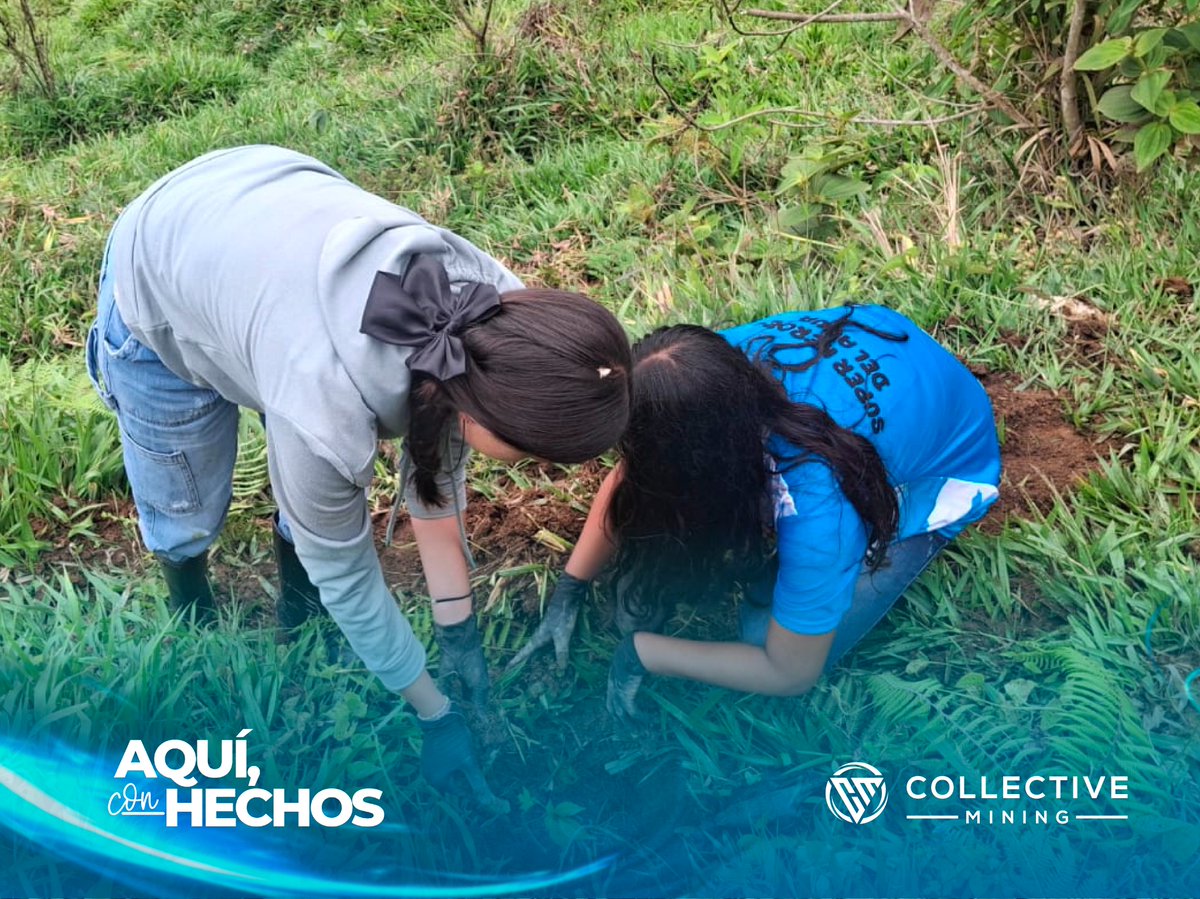 Collective Mining Colombia tweet media