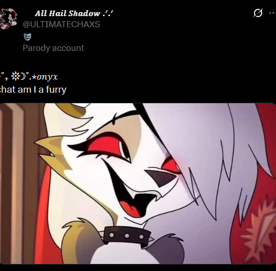 ᅠ ‍ ‍𝐴𝑙𝑙 𝐻𝑎𝑖𝑙 𝑆ℎ𝑎𝑑𝑜𝑤 .ᐟ.ᐟ ‍ ‍ ‍ᅠᅠ tweet media