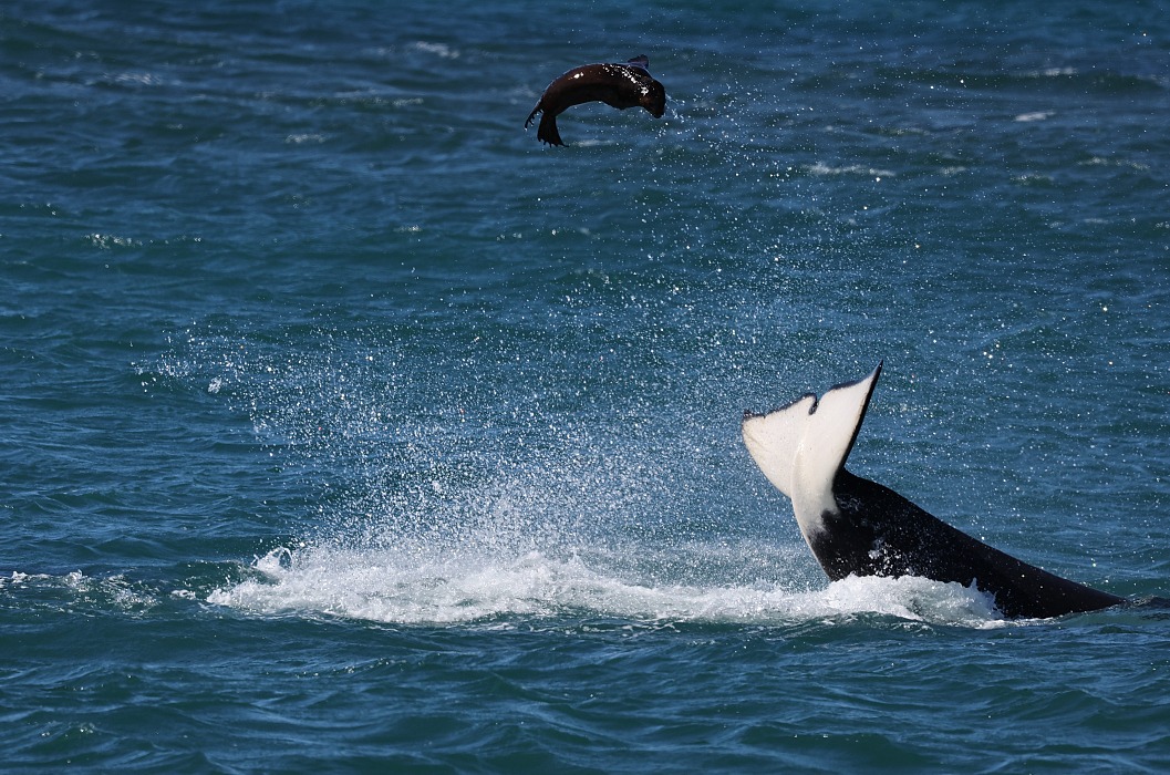 이게 대체 무슨 일이야 tweet media