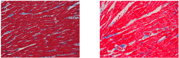 The Journal of Histochemistry and Cytochemistry tweet media