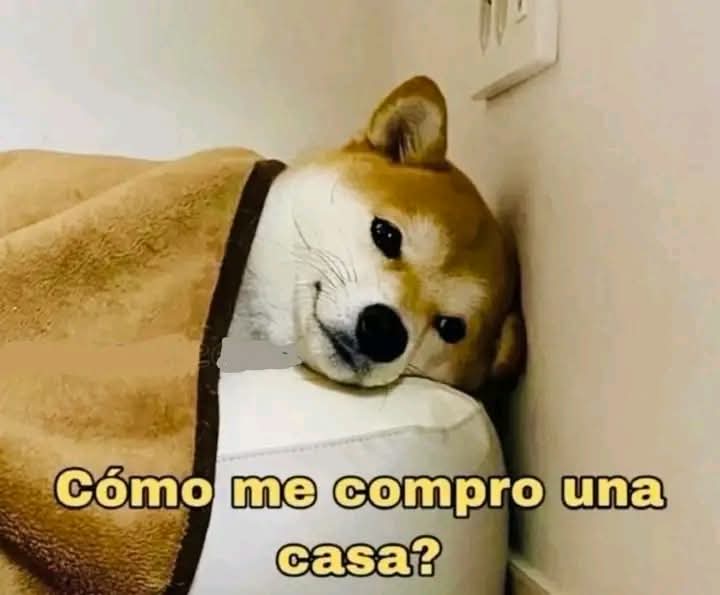 Lonely🥀 (@angelo_uf) on Twitter photo 