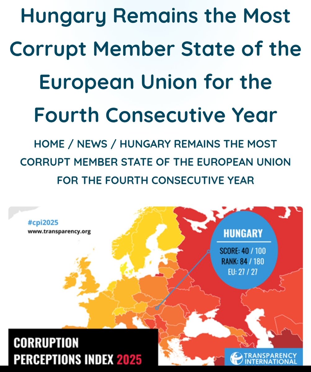 Kadi🇪🇪🌻 tweet media