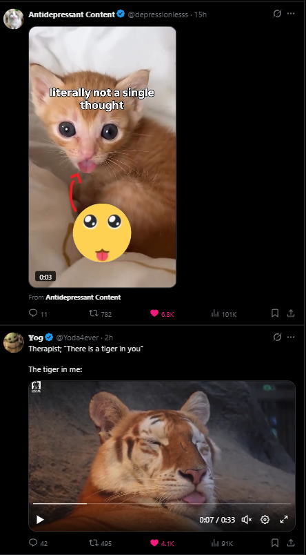 Mashctart tweet media