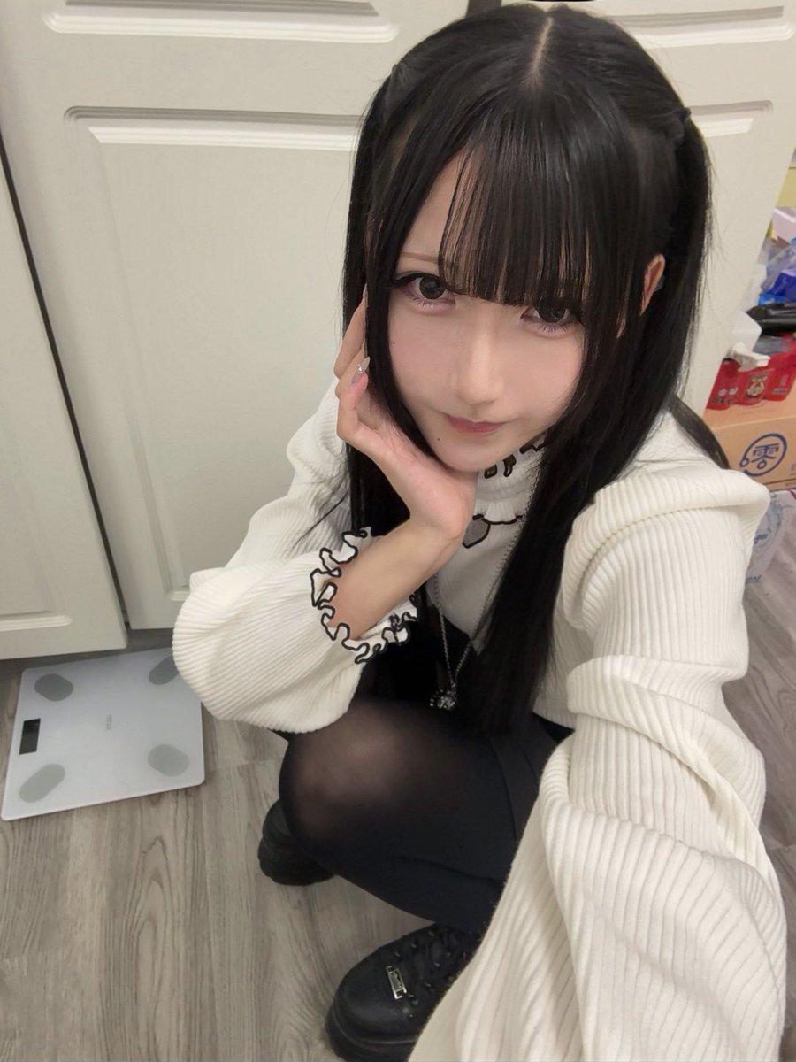 玄関猫 tweet media