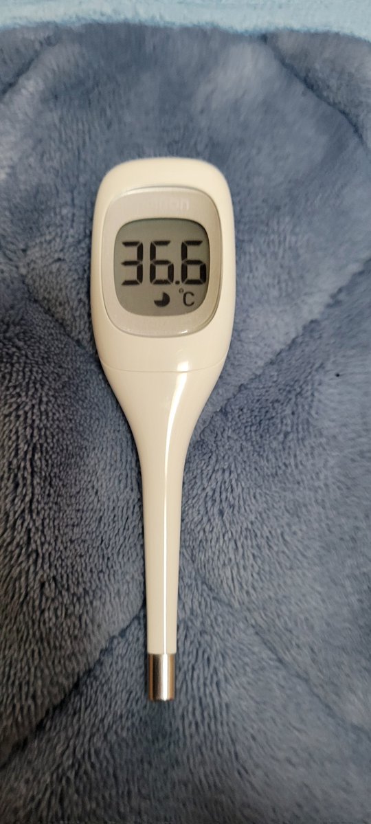 瀬戸健一 tweet media