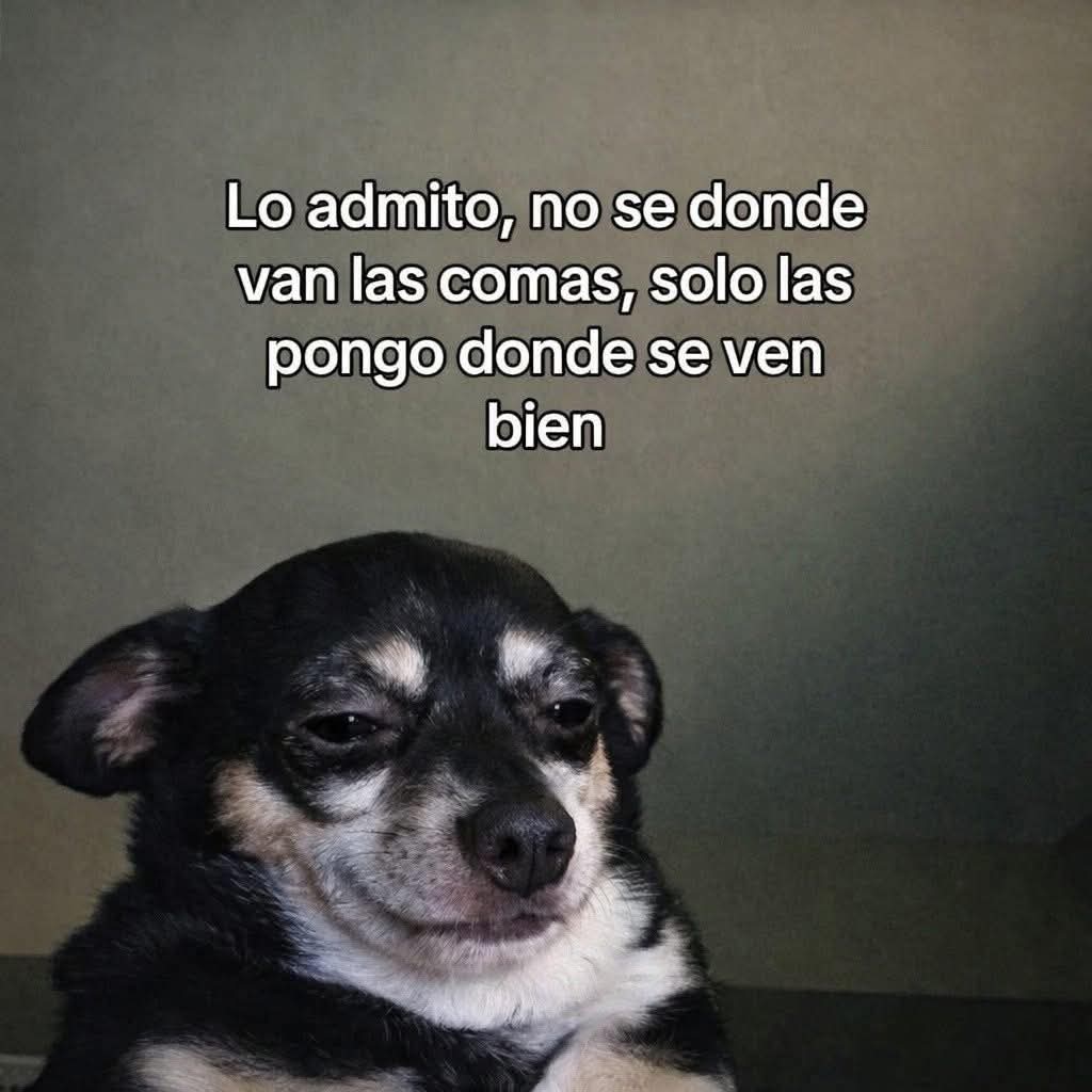 angelo_uf's tweet photo. https://t.co/yu0H09x5HF