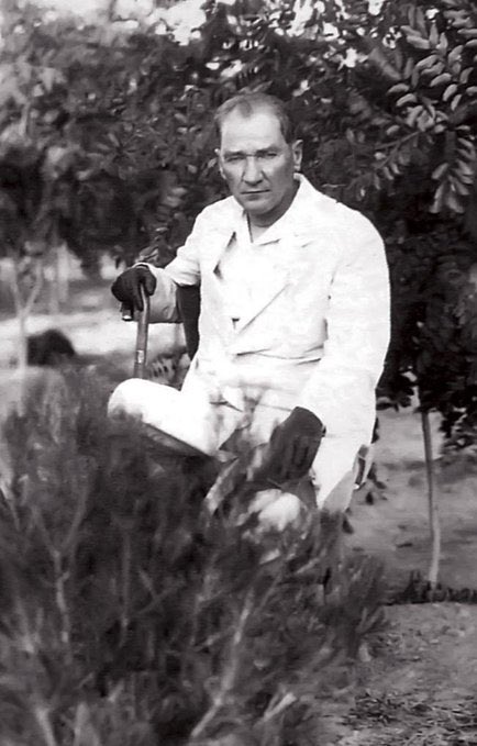 Dikkat Medya tweet media