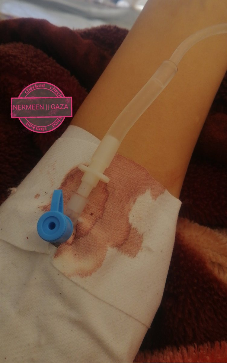 Nermeen from Gaza 𓂆🇵🇸🍉 tweet media