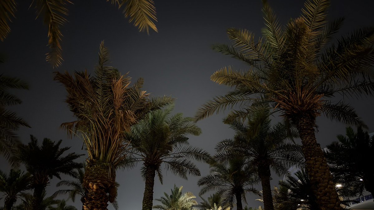 _iiarwa's tweet image. ليلة احسائية بهيّة 🌴

#HealthXcelerate3