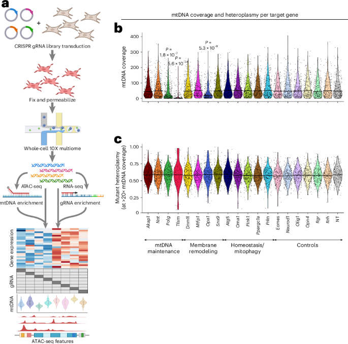 NatureStructMolBiol tweet media