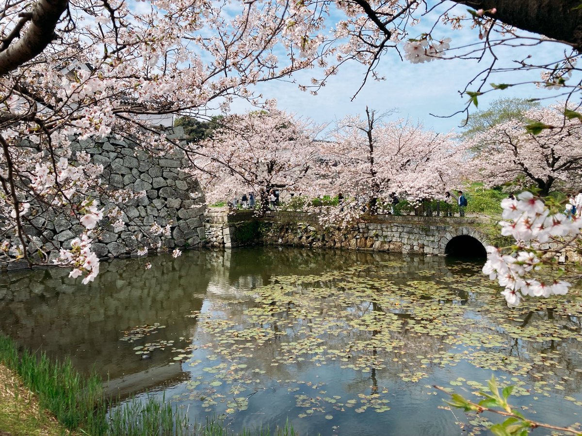 RADIO◎CONNECTOR tweet media