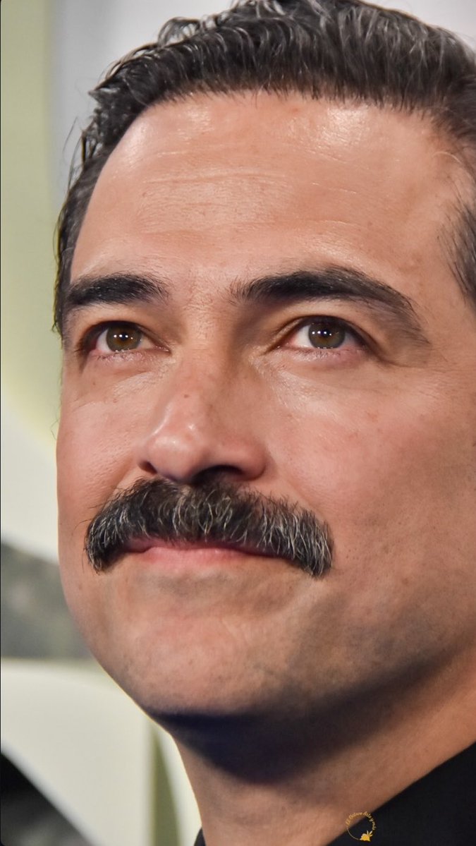 Locas por Poncho tweet media