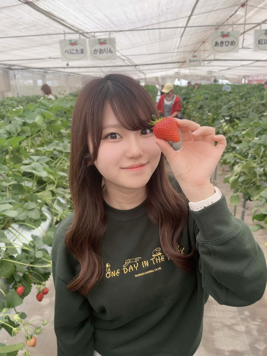 もっちー！🍊🍡 (@momok0qullelove) / Posts / X